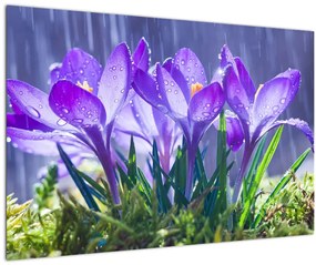 Obraz kvetov v daždi (90x60 cm)