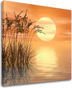 Obraz na stenu ABSTRAKT AB094E12