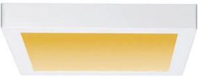 Paulmann 79801 - LED/13W Stropné svietidlo CARPO 230V 2300/2500/3000K