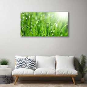 Obraz Canvas Príroda tráva kvapky 140x70 cm