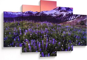 Obraz - Sopka a kvety (150x105 cm)