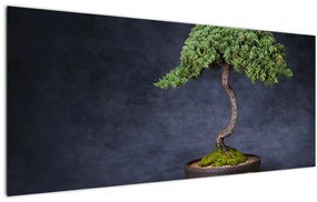 Obraz - Bonsai (120x50 cm)