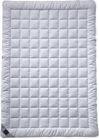 XXXLutz LETNÁ PRIKRÝVKA, 140/220 cm, hodváb Billerbeck - Prikrývky & vankúše - 003279074802