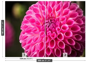 Fototapeta Vliesová Dahlia pink 104x70 cm