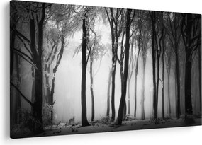 Obraz - Vlk v temnom lese (90x60 cm)