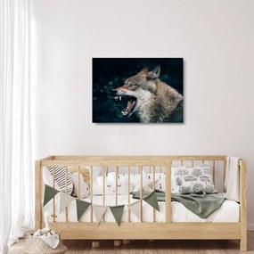 Sklenený obraz vlka (70x50 cm)