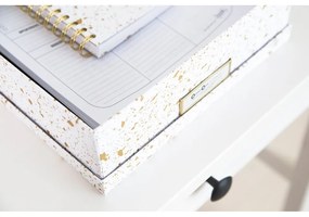 Úložná škatuľa v zlato-bielej farbe Bigso Box of Sweden Oskar