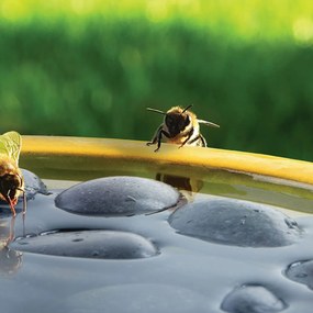 Napájadlo pre včely a motýle Nature, 9x27 cm, keramika, žltá