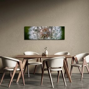 Obraz púpavy (s hodinami) (90x30 cm)