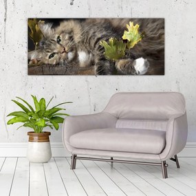Obraz - Ležiaca mačka (120x50 cm)