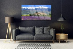 Obraz na akrylátovom skle Lúka kvety hory príroda 120x60 cm