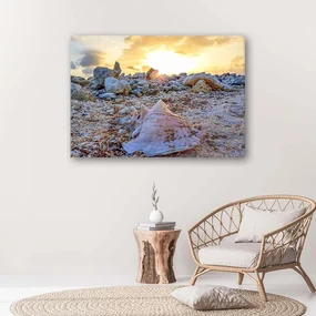 Gario Obraz na plátne Mušle a kamene Rozmery: 90 x 60 cm