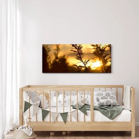 Obraz - Slnko zapadajúce za stromami (120x50 cm)