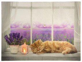 Nástenná maľba mačka na okne, 1 LED, 30 x 40 cm
