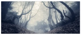 Obraz - Les v hmle (120x50 cm)