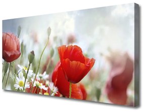 Obraz Canvas Kvety plátky rastlina 100x50 cm