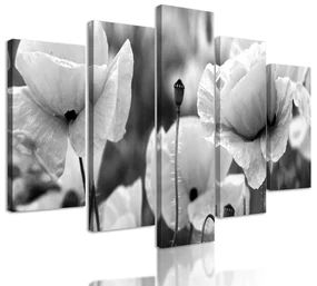 5-dielny obraz jedinečné divé maky v čiernobielom prevedení - 100x50 | BIANO