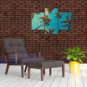 Obraz - Vysoké palmy (90x60 cm)