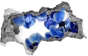 Fototapeta nálepka na stenu Modrá orchidea nd-b-108719239