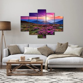 Obraz - Horská rozkvitnutá krajina (150x105 cm)
