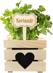 AMADEA Drevený zápich - ceduľka na bylinky Koriander, výška 20 cm, český výrobok