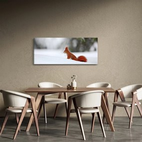 Obraz veveričky (120x50 cm)