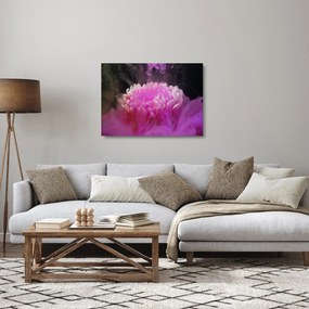 Sklenený obraz kvetiny v ružovom dyme (70x50 cm)