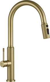 Rea Master, vysoká kuchynská batéria s výsuvným výtokom, zlatá matná, REA-B7204