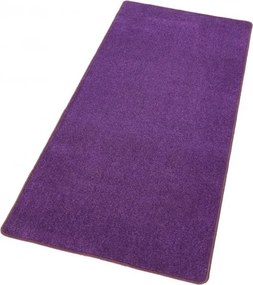 Hanse Home, DOPREDAJ: 80x300 cm Kusový koberec Fancy 103005 Lila - fialový, 80x300, fialová, obývacia izba