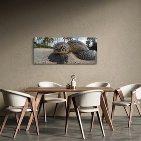 Obraz korytnačky (120x50 cm)