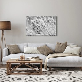 Obraz - Zasnežené vetvy (90x60 cm)