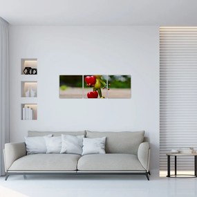 Obraz - vyznanie lásky