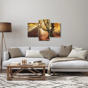 Obraz - Jesenný svit (90x60 cm)