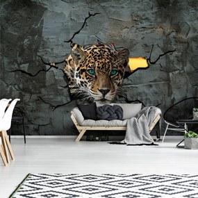Fototapeta - Jaguar za múrom (254x184 cm)