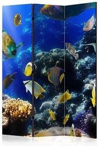 Paraván - Underwater adventure [Room Dividers] Veľkosť: 135x172, Verzia: Akustický