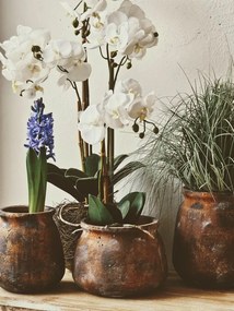 Hnedo-zlatá dekoratívna teracotová váza/kvetináč Tera - Ø 21*16 cm