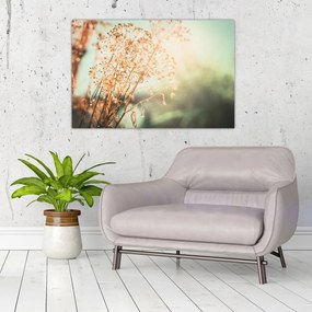 Obraz - Rastliny po daždi (90x60 cm)