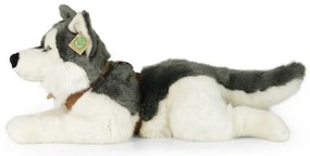 Rappa Plyšový husky s postrojem 60 cm ECO -FRIENDLY