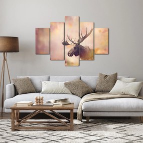Obraz - Sob v jesennom lístí (150x105 cm)