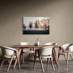 Obraz - Ranná sychravosť (90x60 cm)
