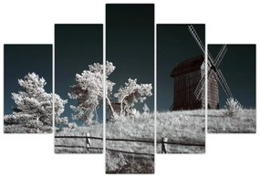 Veterný mlyn, obraz