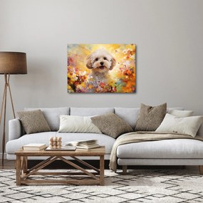 Obraz - Šťastný pes (70x50 cm)