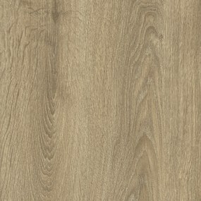 IVC Commercial, PVC podlaha - lino Logitex Ultimate 55 Elias T47, na mieru, šíře 2m,4m, hnedá, filc, chodba / predsieň