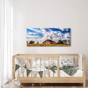 Obraz slnečnicového poľa (120x50 cm)