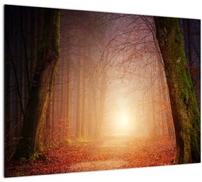 Sklenený obraz jesenného lesa v hmle (70x50 cm)