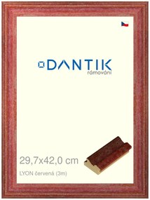 DANTIK rám na obraz 29,7x42 | LYON červená (Plexi Čiré)