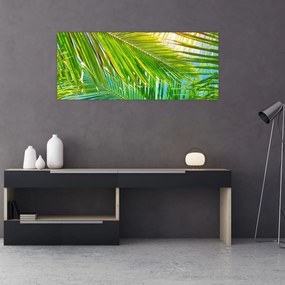 Obraz - Palmové listy (120x50 cm)