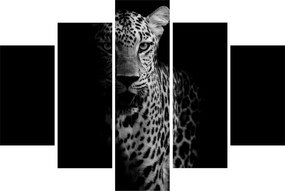 Obraz - Portrét leoparda (150x105 cm)