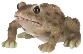 Záhradná dekorácia Žaba, 10 x 6 x 8 cm, polyresin​