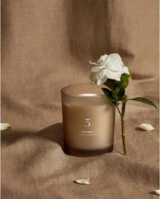 Vonná sviečka doba horenia 20 h Citrus Wave – Kave Home